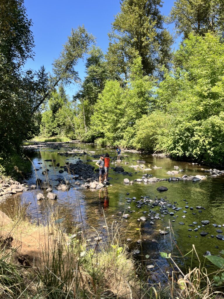 Kids exploring a creek