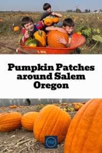 Pinnable image for pumpkin patches in Salem Oregon