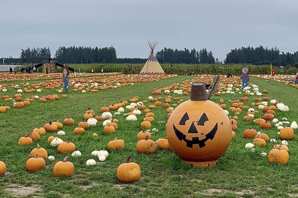 E. Z. Orchards pumpkin patch with giant pumpkin in front and teepee in background.
