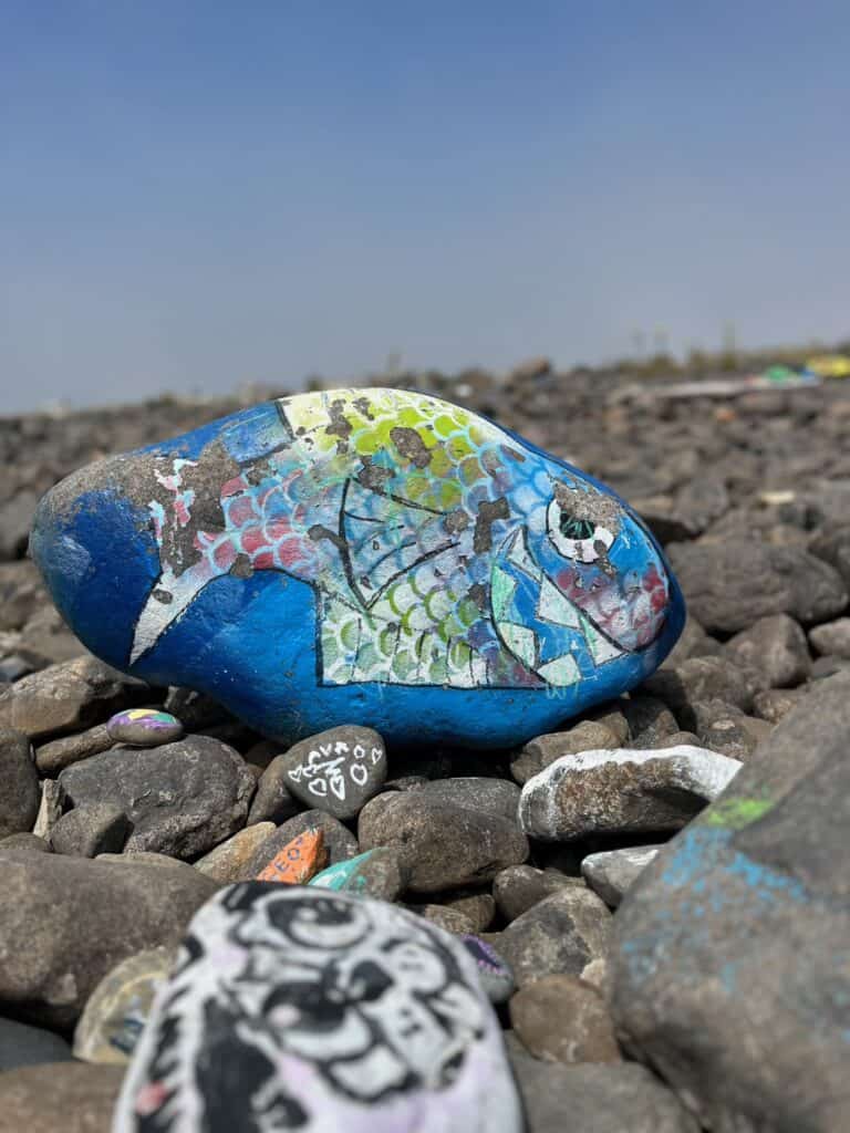 colorful fish pained on a rock