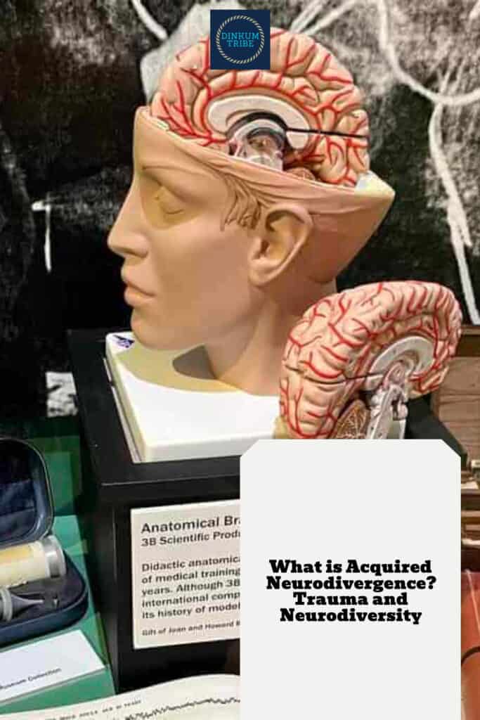 Pinnable image for acquired neurodivergence.