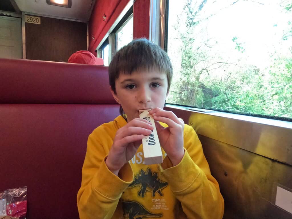 Our son blowing a wooden train whistle on the train