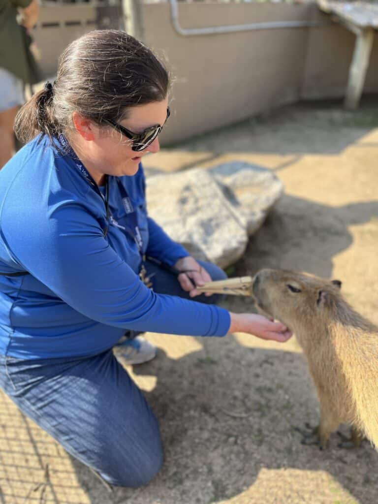 Jenn feeding and petting a capybara