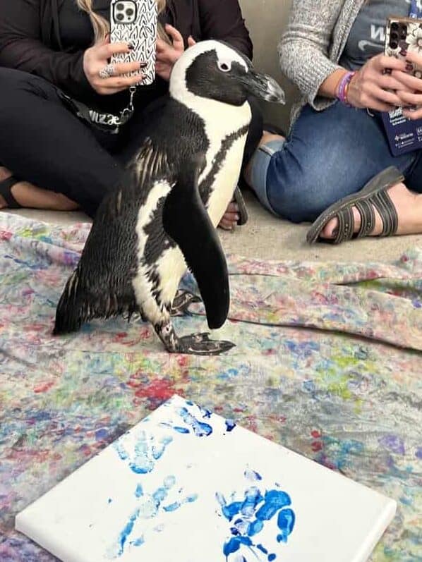 Patty the painting penguin