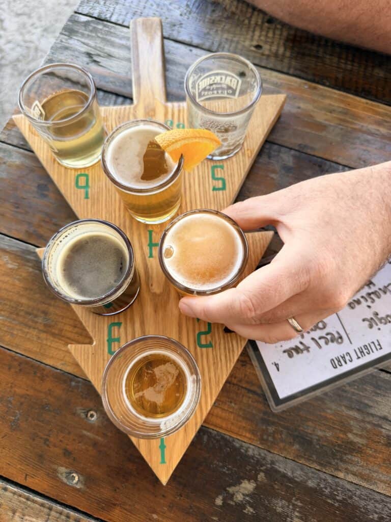Flight of six beers on a pine tree-shaped platter.