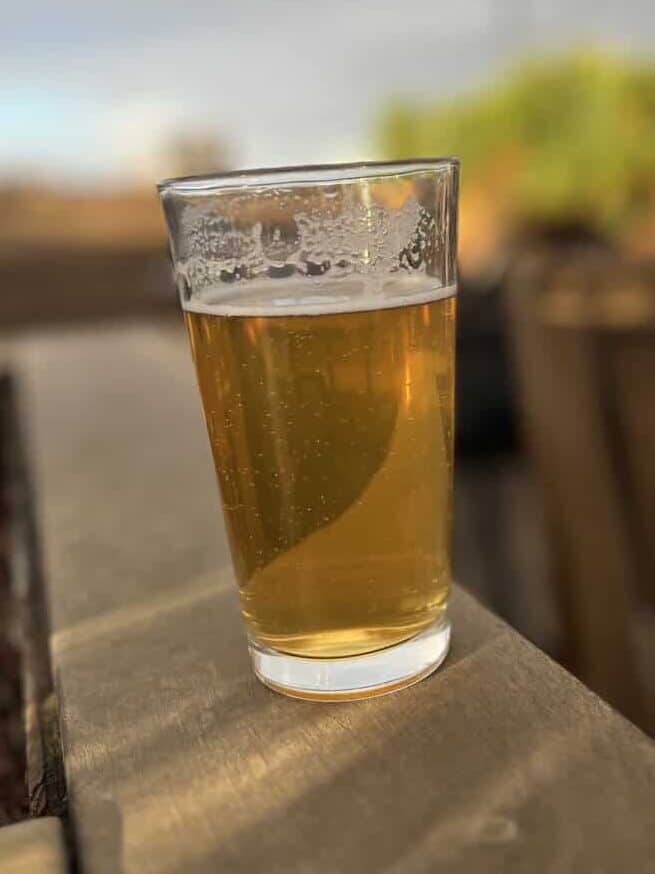 Glass of golden beer