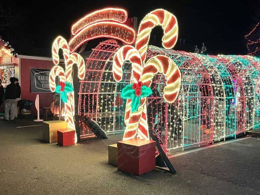 Lighted Candy Cane Lane tunnel at the Silverton Christmas Market