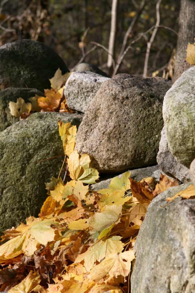 Autumn leaves sit along a stone wall at Minute Man National Historical Park, Massachusetts.