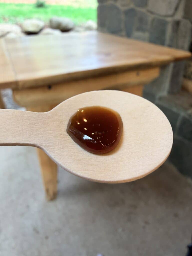 Maple syrup sample at the Hopkins Demonstration Forest.
