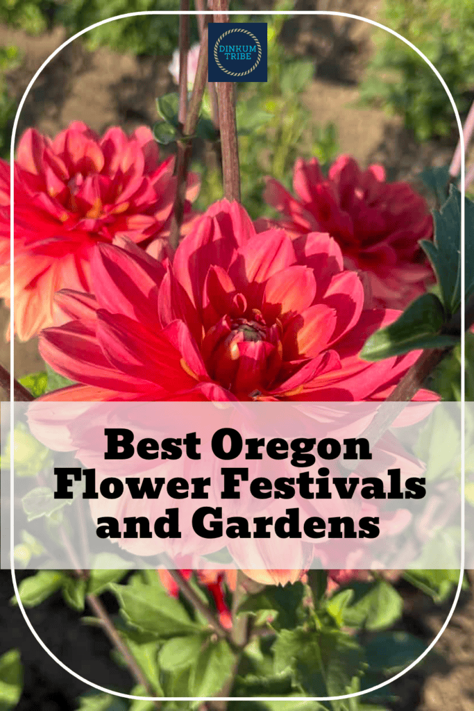 Pinnable image for flower festivals in Oregon.