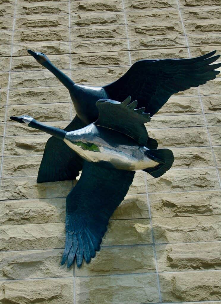 Bronze sculptures of Canada Geese speak of a wilder time along the Lewis and Clark National Historic Trail, Nebraska.