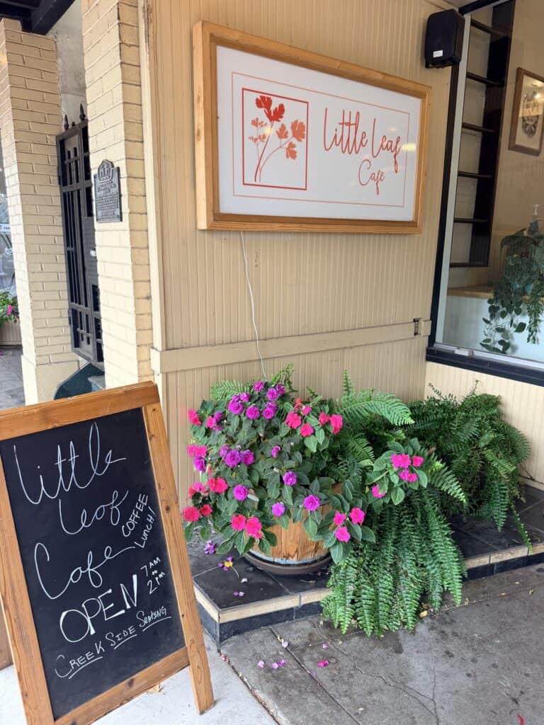 Entrance to the Little Leaf Cafe off Water Street in Silverton.