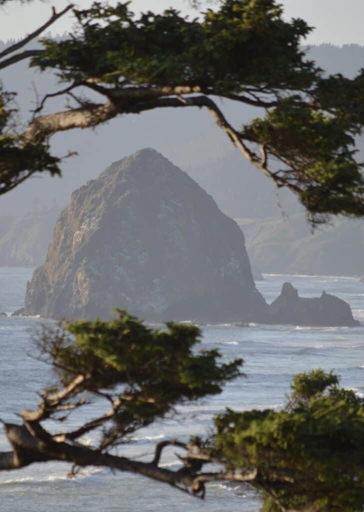 Pine branches frame Haystack Rock on a beautiful afternoon at Cannon Beach.