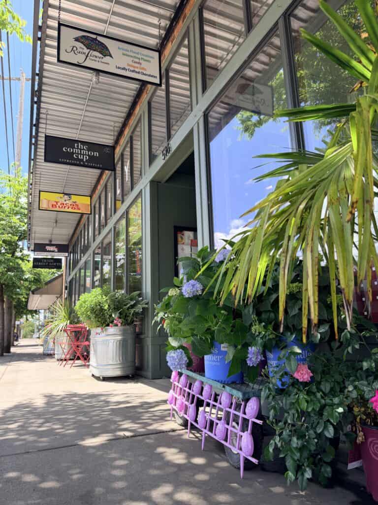 Amity downtown storefronts with plants.