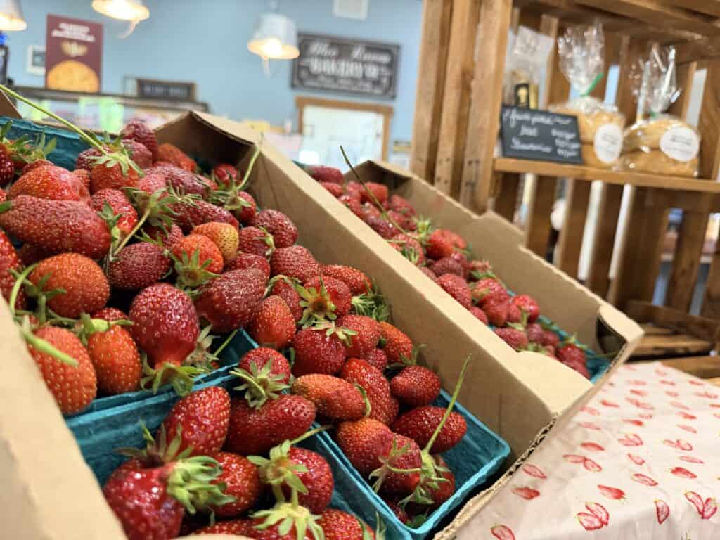 Sweet sunrise strawberries at Blue Raeven.