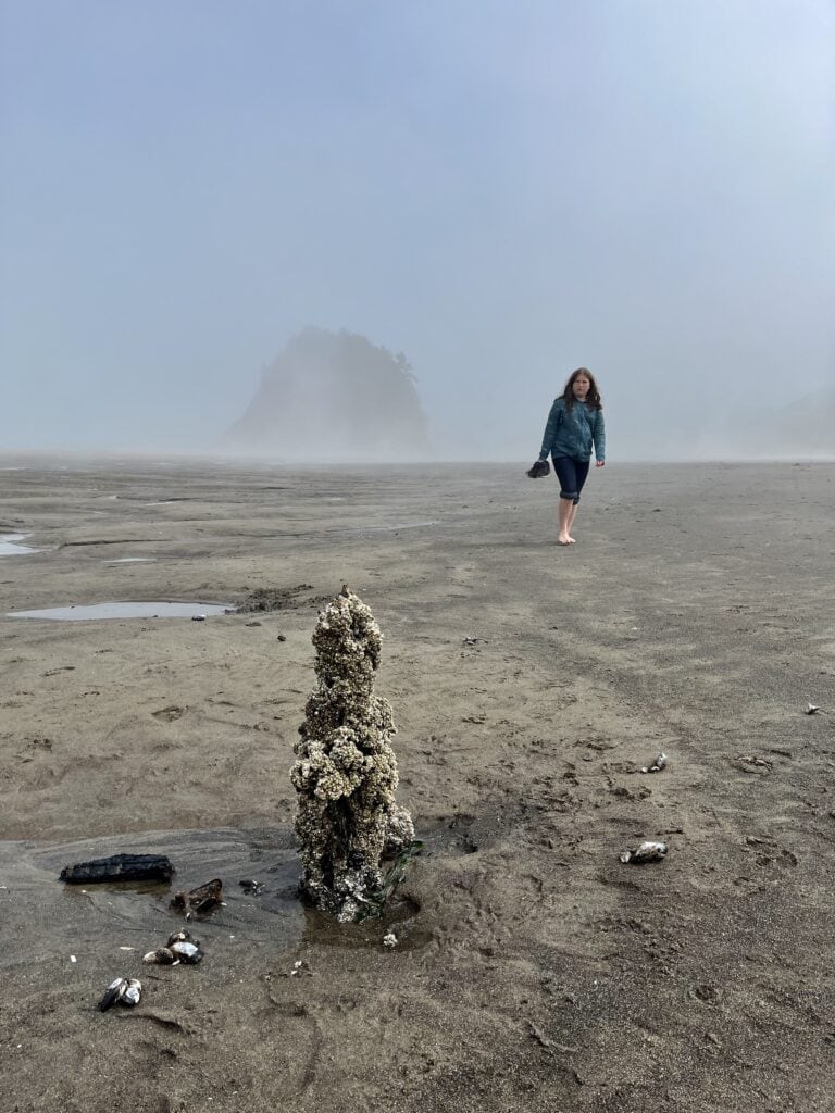 Our daughter looks at an ancient, barnacle-covered tree stump at the Neskowin Ghost Forest.