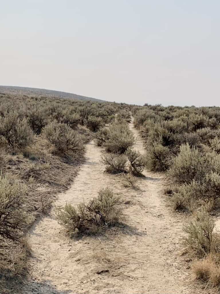 Oregon Trail ruts at Flagstaff Hill near Baker City, Oregon. This is one of the best preserved Oregon Trail sites in Oregon.