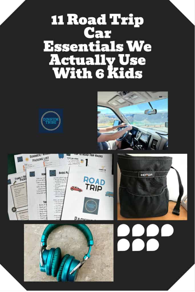 Pinnable image for road trip essentials kids