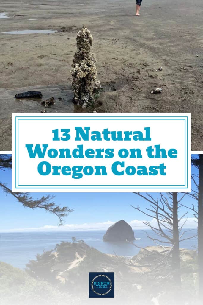 Pinnable image for Oregon Coast natural wonders