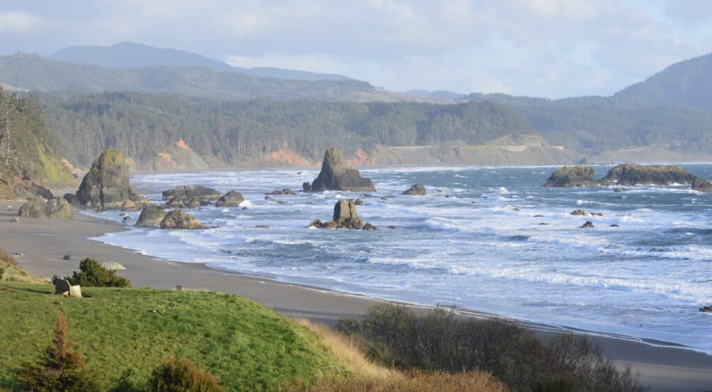 Waves roll among rugged outcrops on a beautiful day at Port Orford, Oregon.