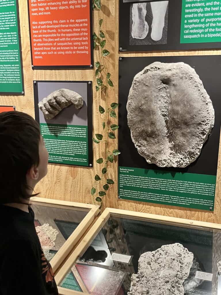 My son looks at an alleged imprint of Bigfoot's buttocks.