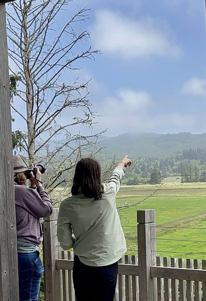 My daughter points to a bird while standing at a viewing platform at Nestucca Bay National Wildlife Refuge.