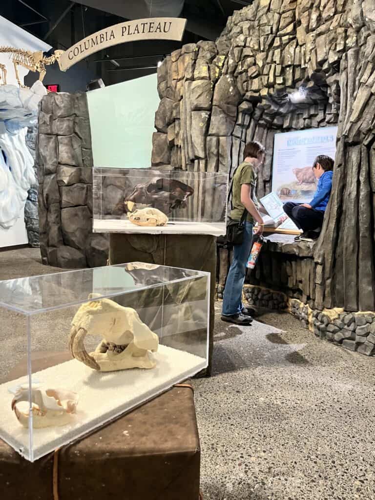 Two of our kids explore the prehistoric animals exhibit at the Columbia Gorge Discovery Center.