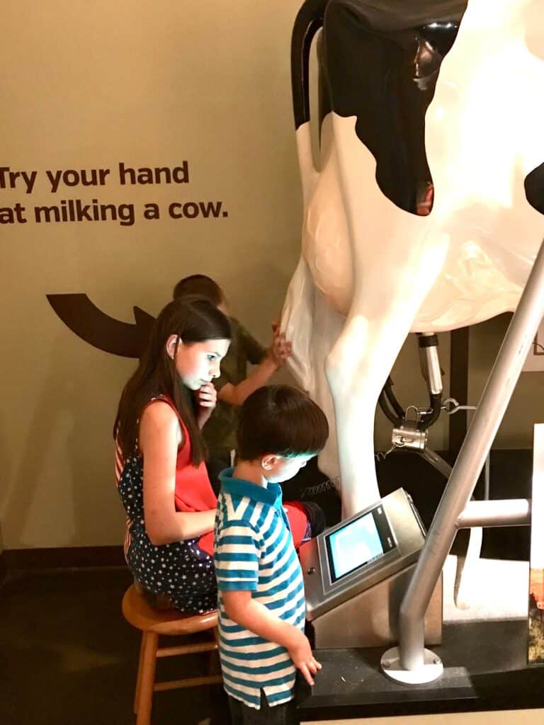Our kids learning how machines are used to milk cows.