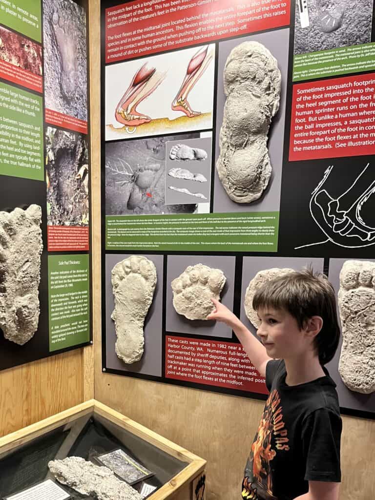 Bigfoot footprint casts display at The North American Bigfoot Center.