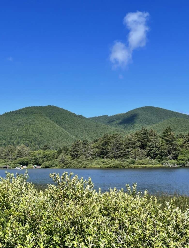 A lone cloud hovers over forestest hills, on a peaceful day at Lake Lytle.