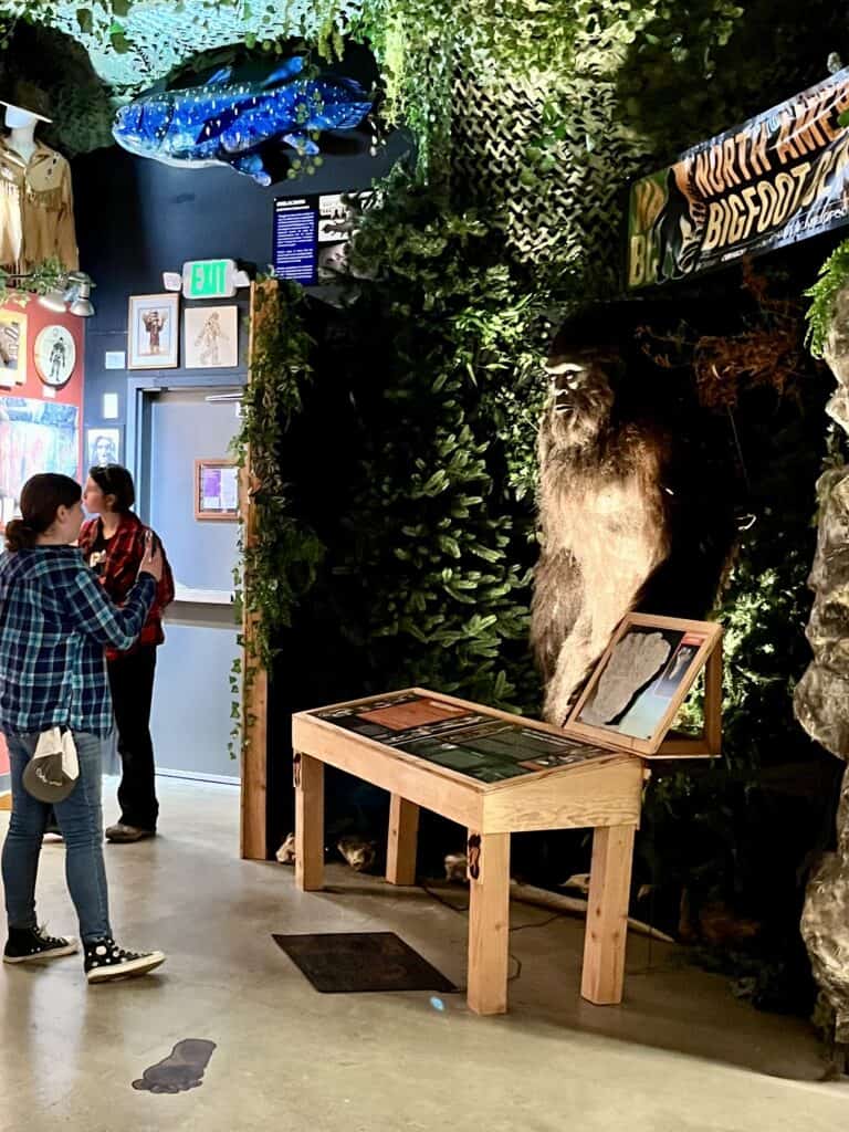 Teen girl films the Murphy Bigfoot with her phone.