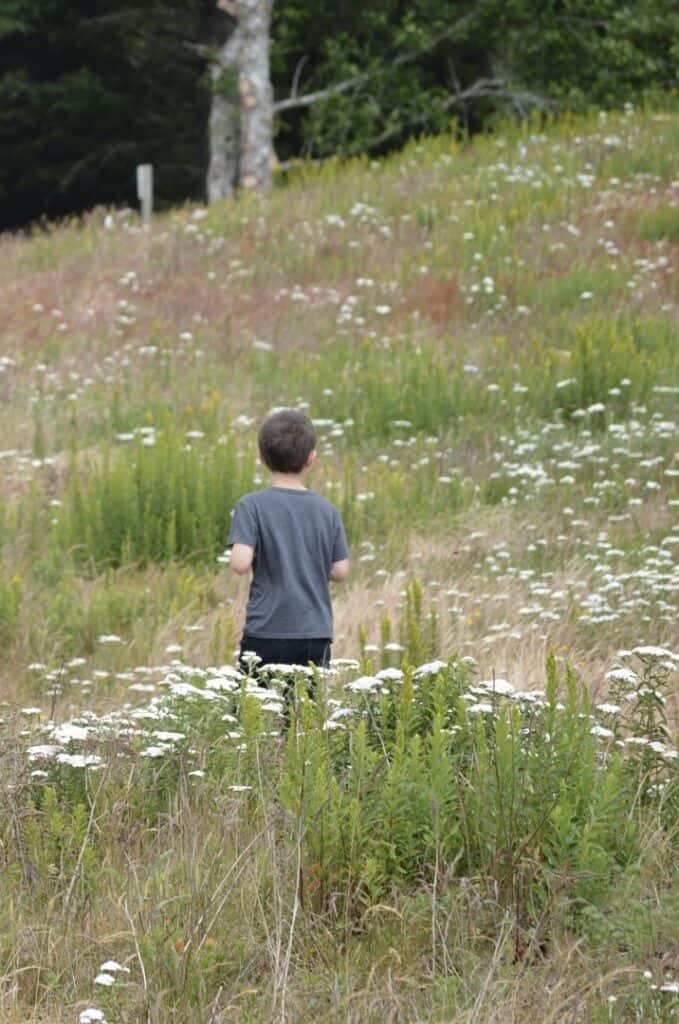 Our son walks through a field of wildflowers at Nestucca Bay National Wildlife Refuge.
