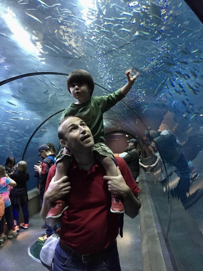 Brian and our son inside the shark tunnel at the Oregon Coast Aquarium.