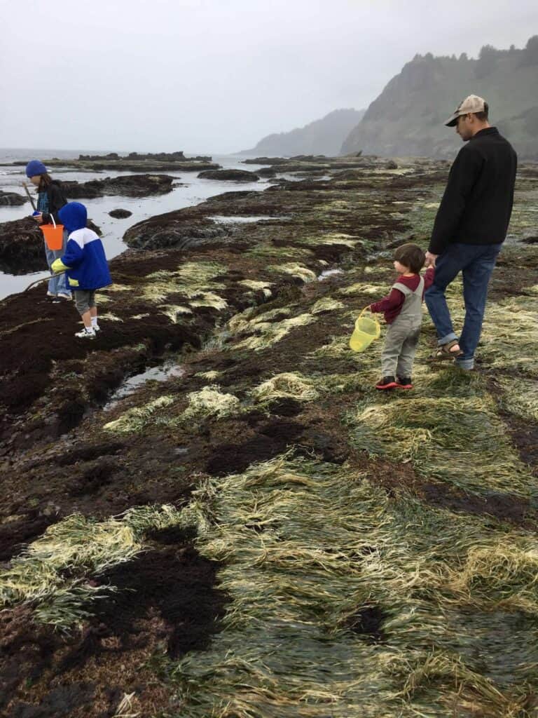 Brian and three of our children walk along the Otter Crest marine gardens.