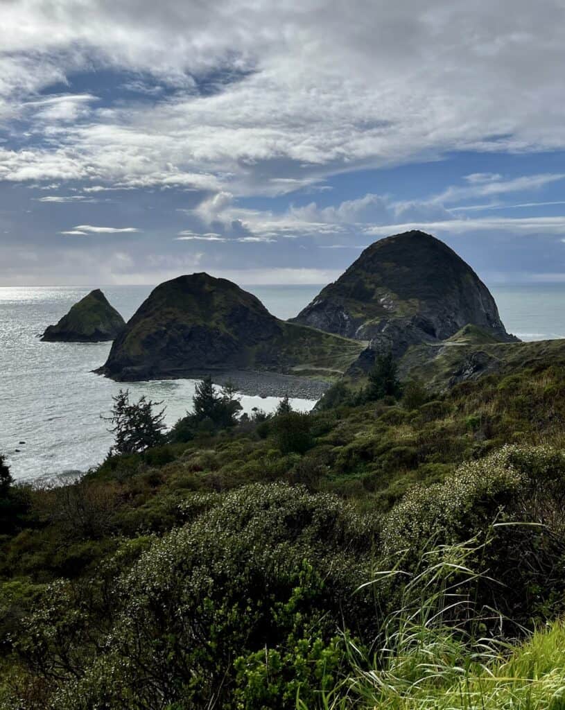 The tides lap peacefully around the verdant headlands of Sisters Rock State Park.