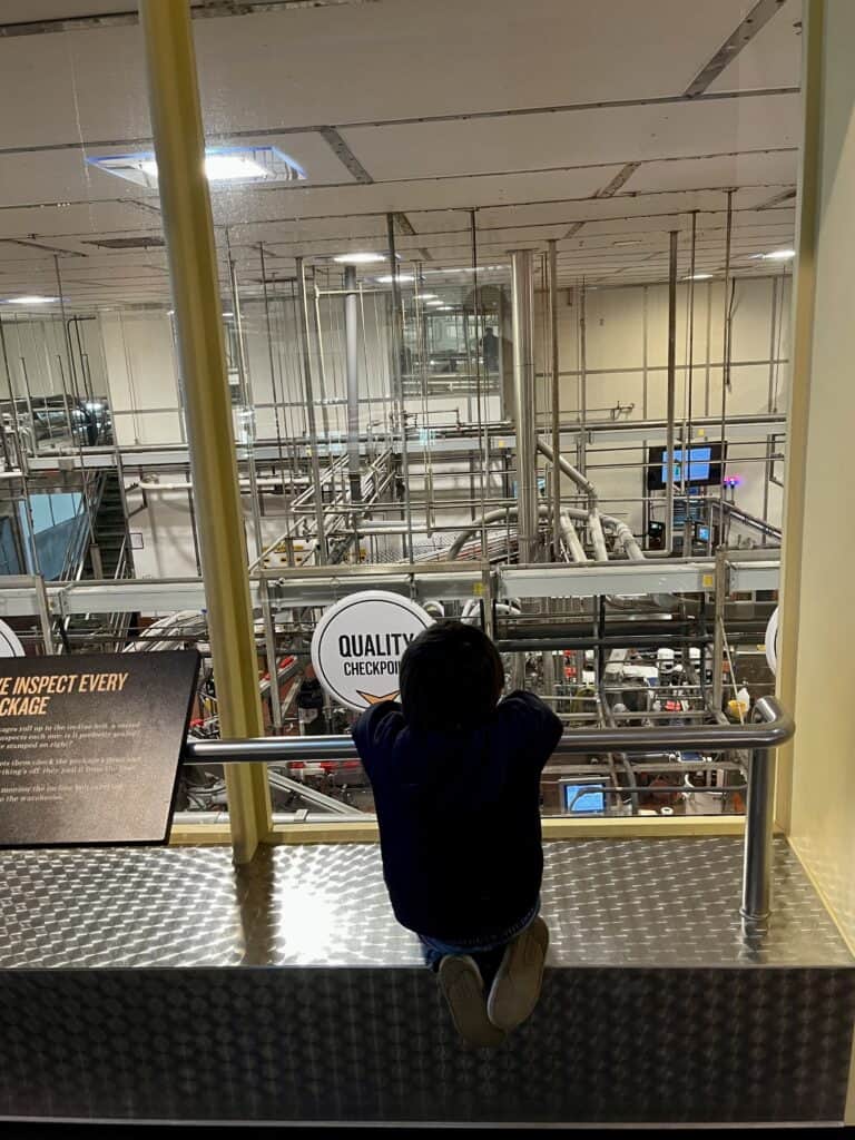 Our son hangs on a bar and peers though a widow to take in all the work being done in the Tillamook Cheese Factroy.