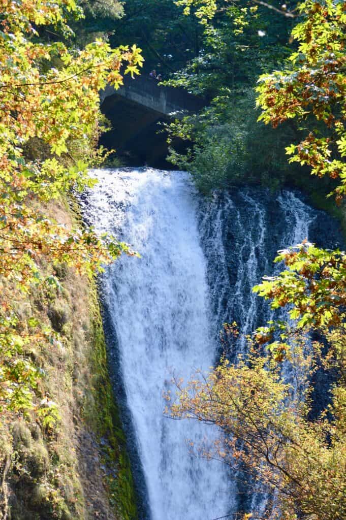 A waterfall in the Columbia River Gorge