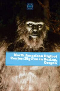 Pinnable image for North American Bigfoot Center review