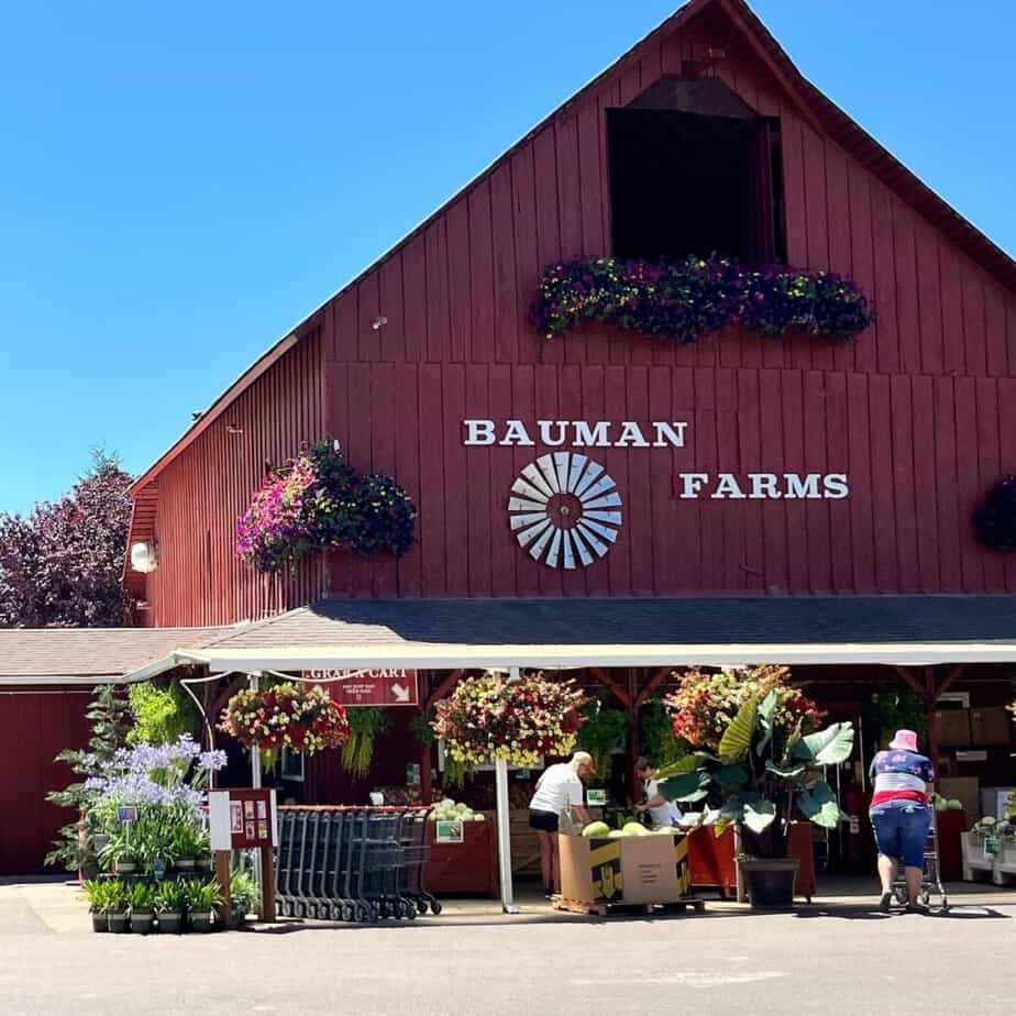Bauman Farms main store in Gervais. This is the best known pumpkin patch near Salem, Oregon.