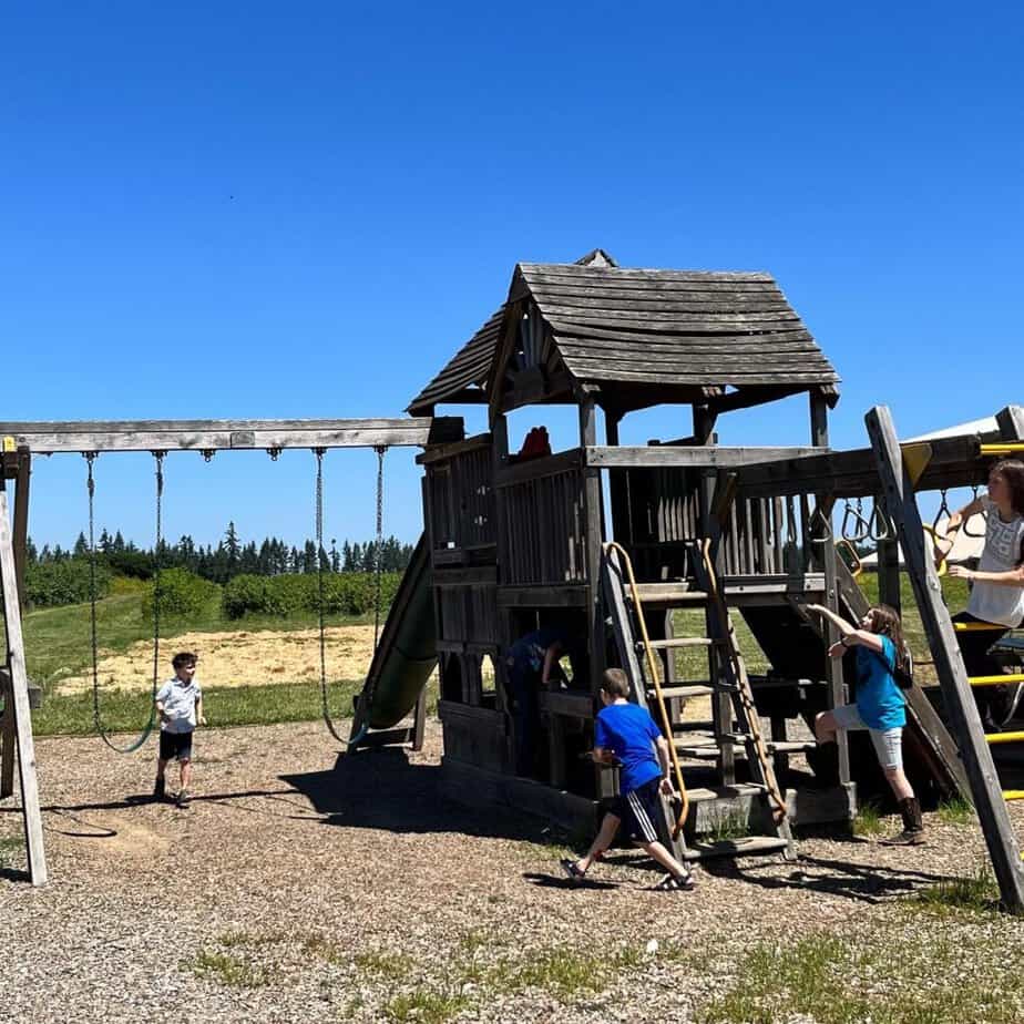 Our kids play on the wooden play structure at Fordyce Farms