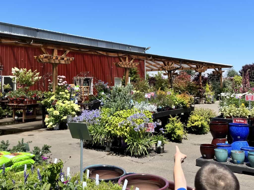 A small section of the garden store at Bauman's.