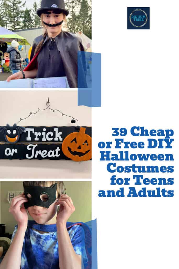 Pinnable image for cheap diy halloween costumes