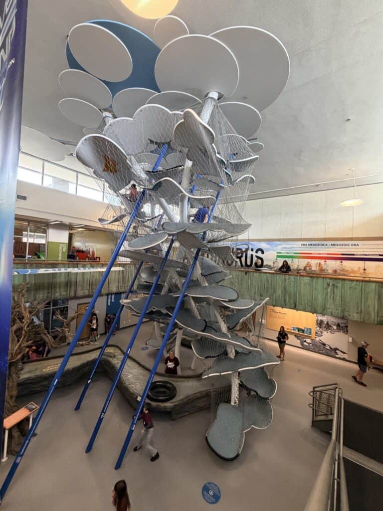 The Cloud Climber is 2 stories tall in the center of The Discovery Museum Reno.