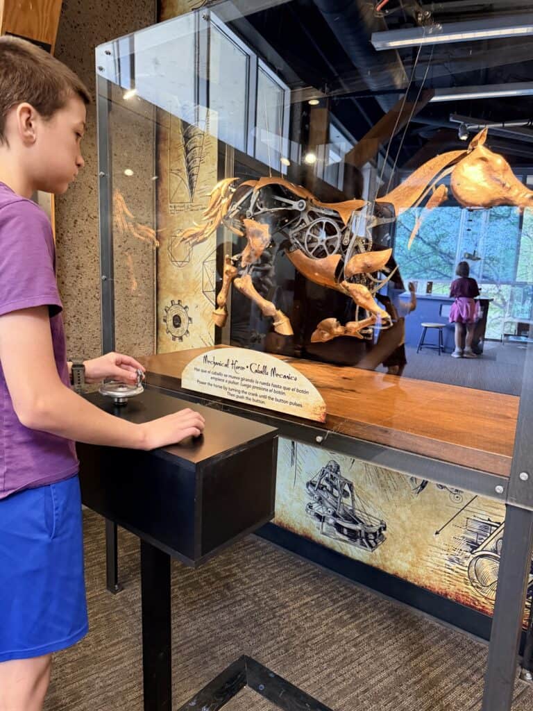 Our son enjoyed watching the movement of this mechanical horse.